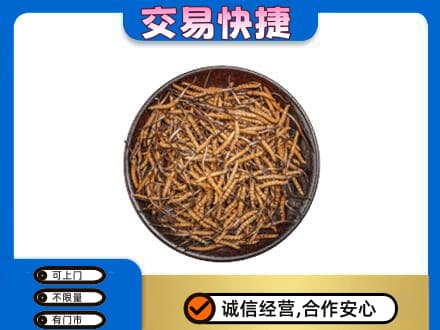 锡林郭勒镶黄旗回收散虫草
